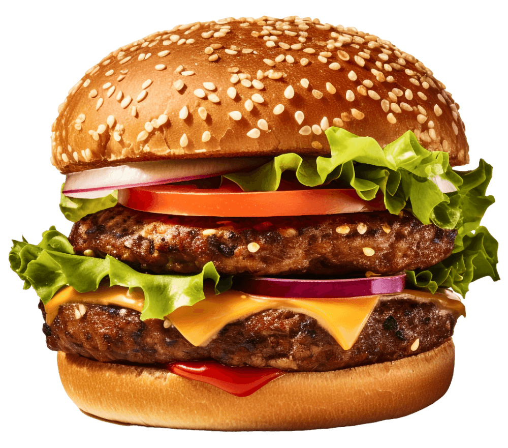 burger-image