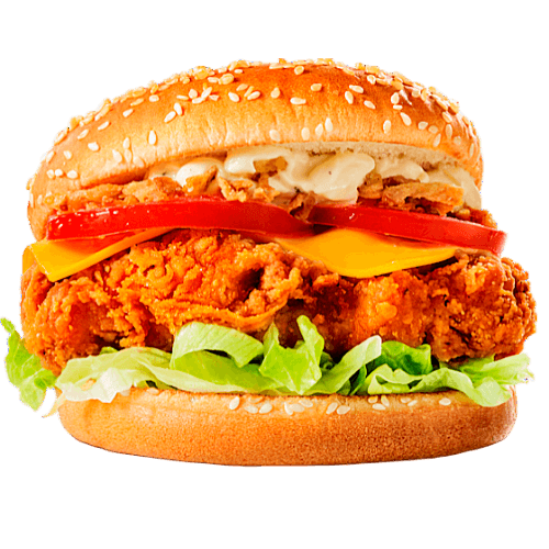 chicken-burger-image